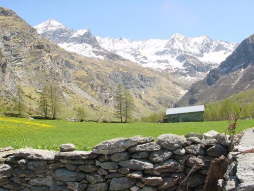 La Vanoise Otel Peisey-Nancroix Dış mekan fotoğraf