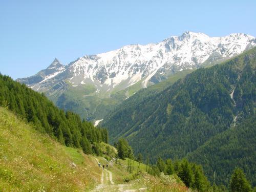 La Vanoise Otel Peisey-Nancroix Dış mekan fotoğraf