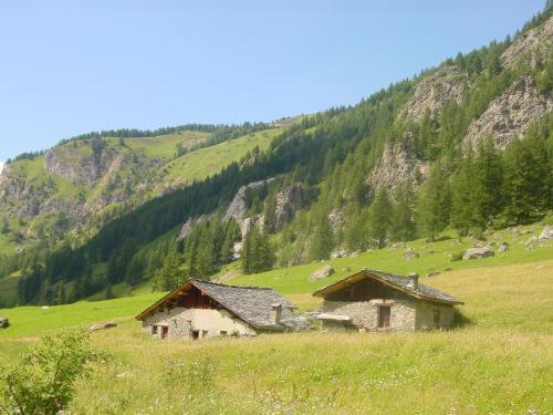 La Vanoise Otel Peisey-Nancroix Dış mekan fotoğraf