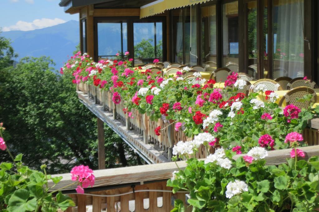 La Vanoise Otel Peisey-Nancroix Dış mekan fotoğraf